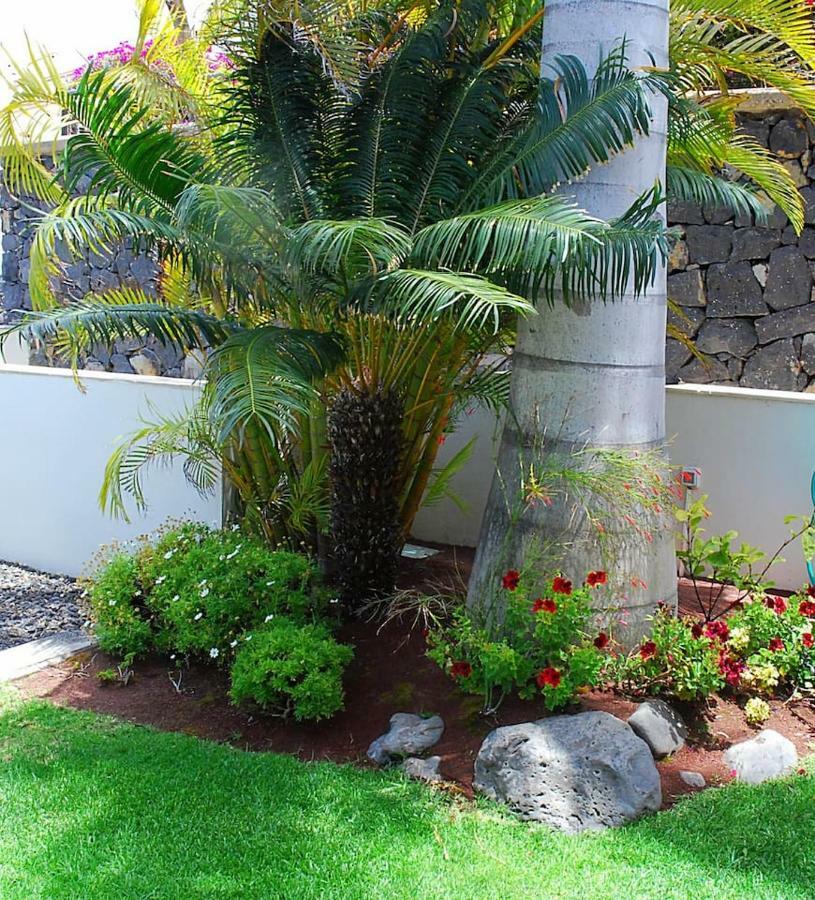 Villa House Sea View Private Garden, 5 People, Optical Fiber à Puerto de la Madera Extérieur photo